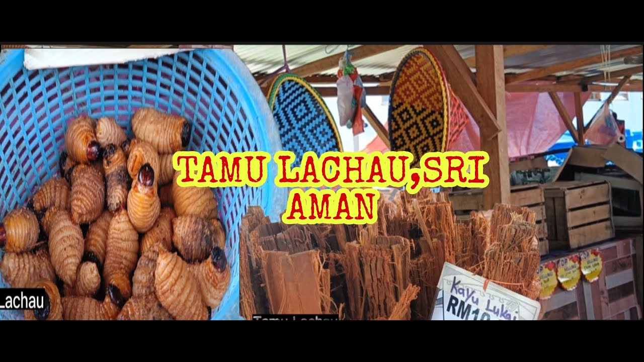 TAMU LACHAU,SRI AMAN JELAJAH SARAWAK 05.10.10 2022 #jelajah