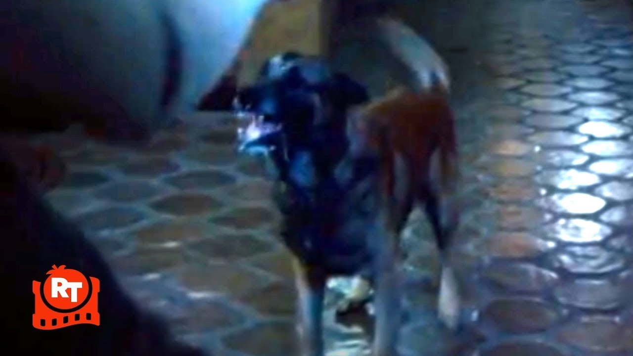 Quarantine (2008) - Zombie Dog Attack Scene | Movieclips