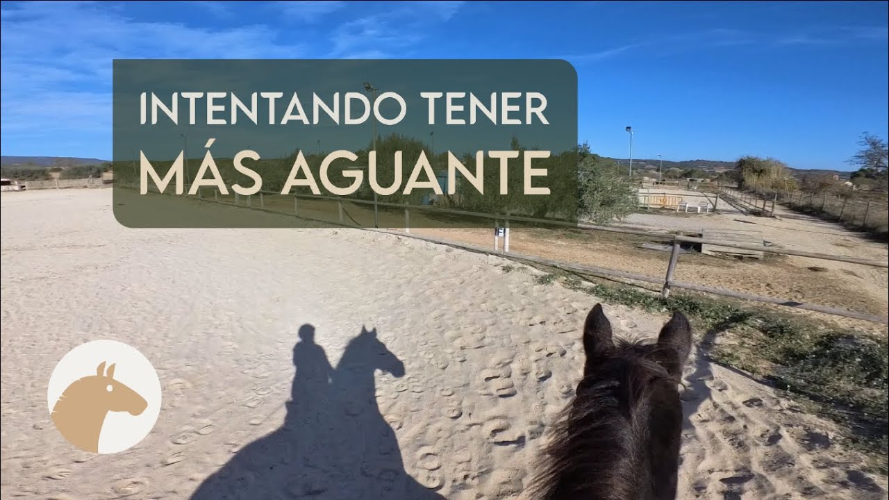 ¡Intentando Tener Más Aguante al Galope! | Equitación Sin Estrés