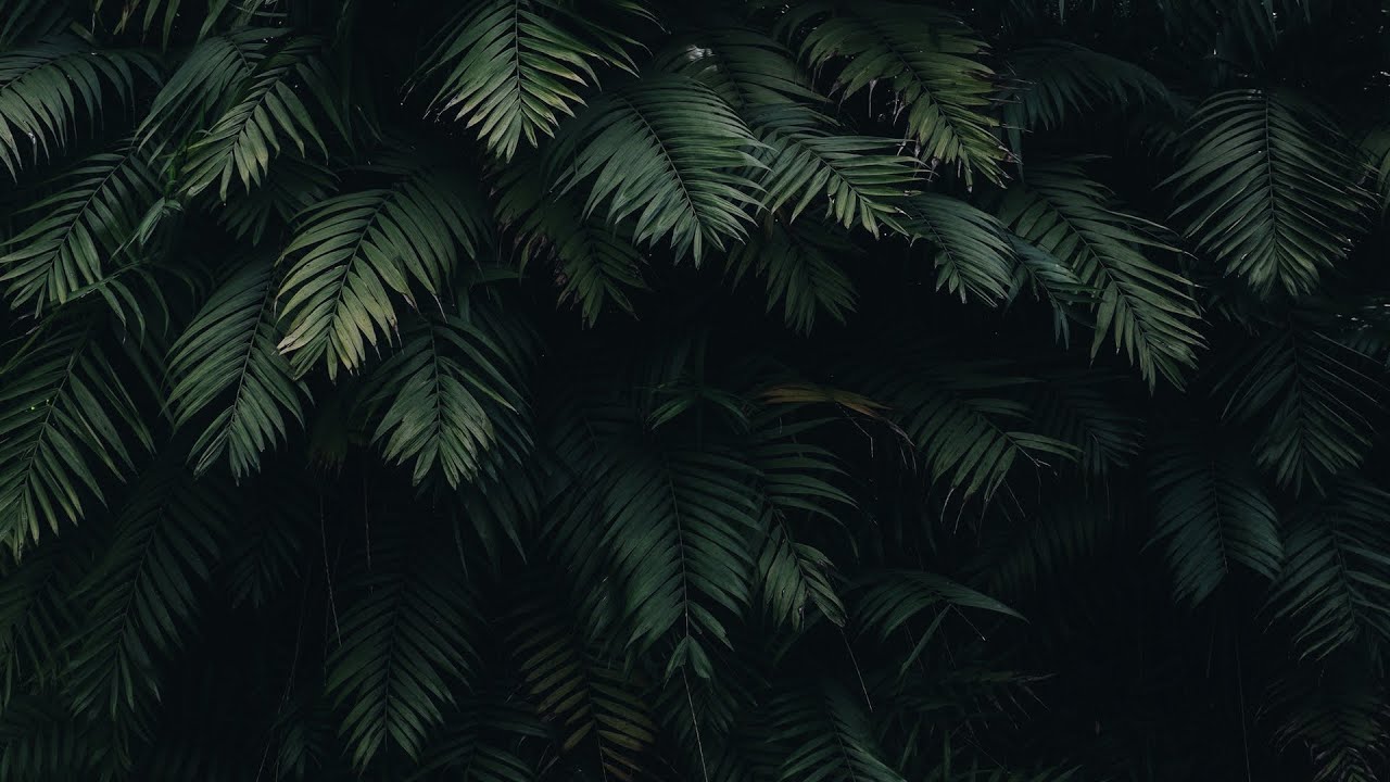 3 Minutes In Dark Vibe | Soft music | Morning Peace | Full Hd |