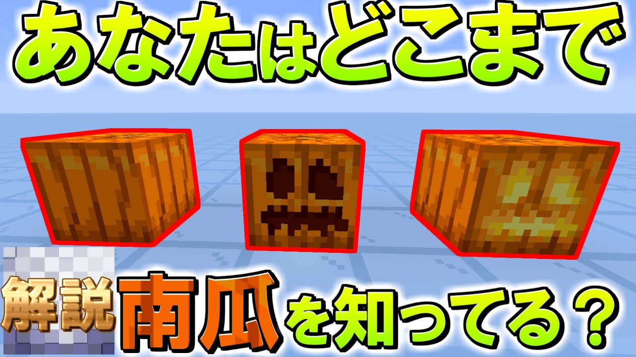 【解説】カボチャのshort動画を掘り下げる動画