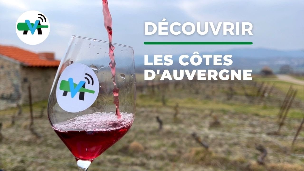 À la découverte des Côtes d'Auvergne !