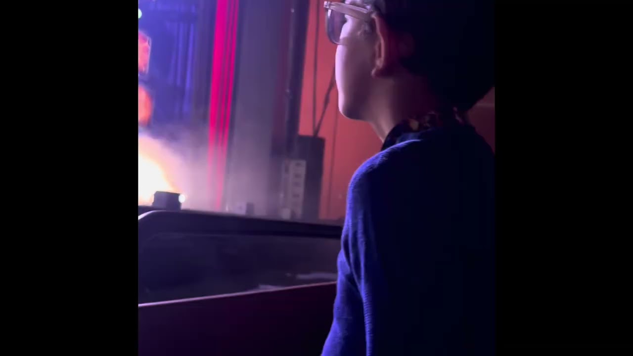 Paw Patrol LIVE Show - VIP