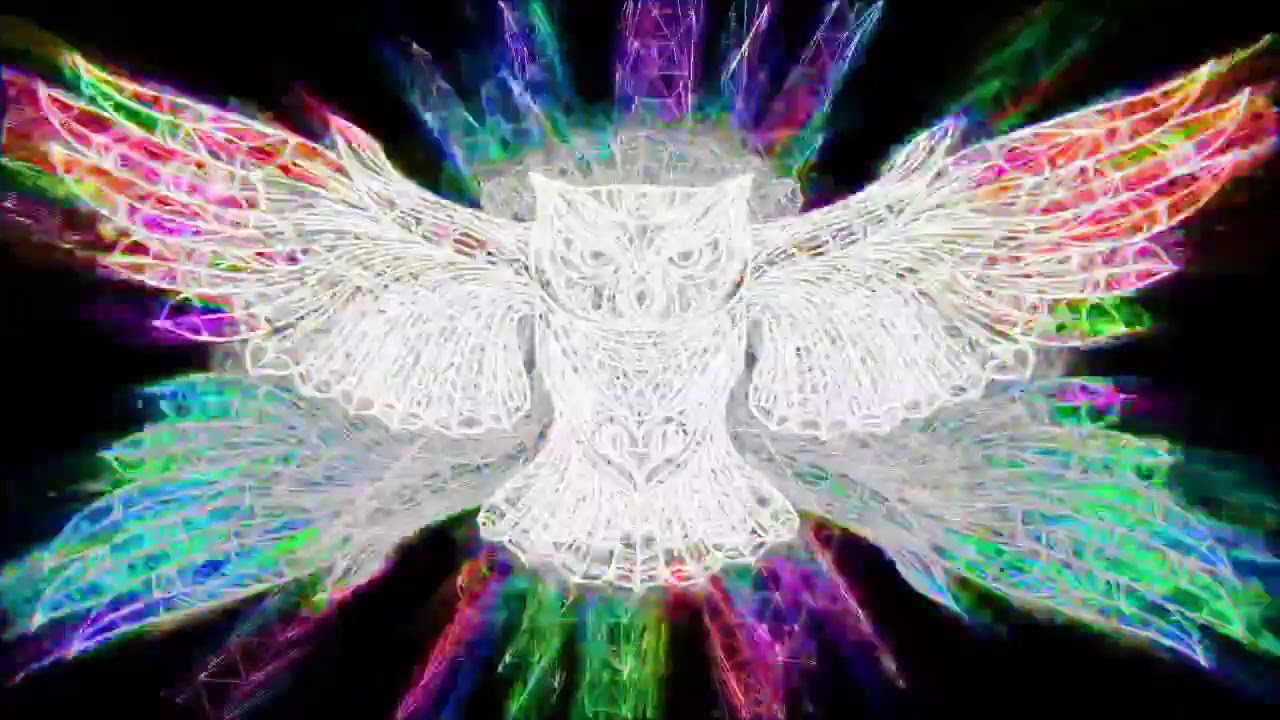 Machine music x art 3.0  Dj Xavier Morel & Vj Mandala