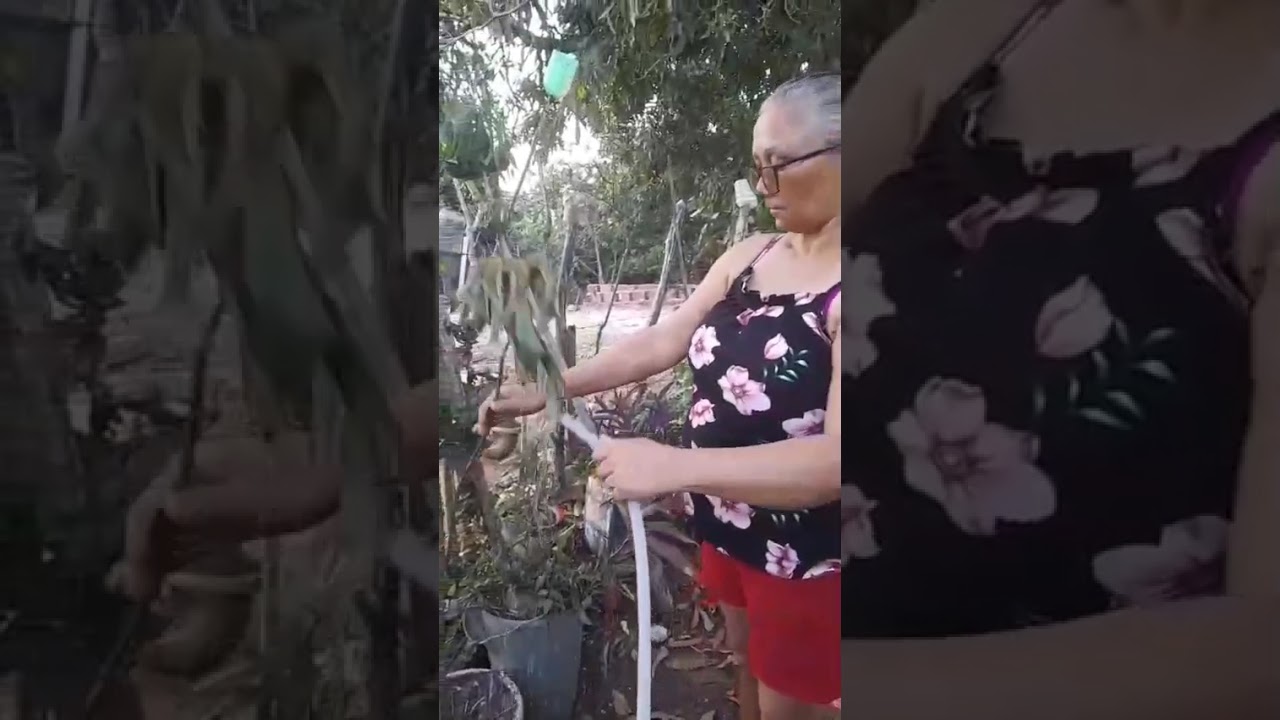 12 de janeiro de 2026