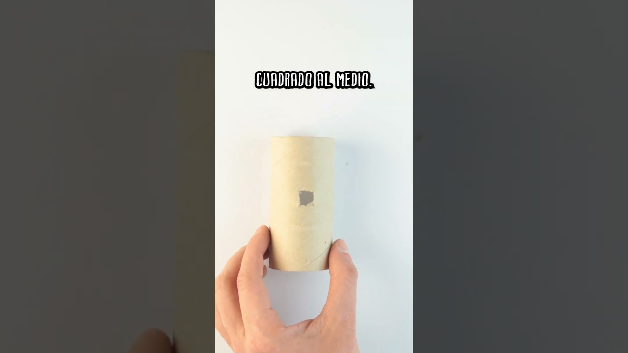 Pipa con papel higi&eacute;nico
