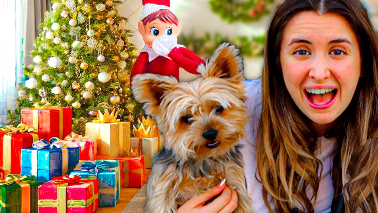 REGALOS DEL DÍA DE REYES MAGOS !! EL ELFO NOS DIO UNA GRAN SORPRESA!!