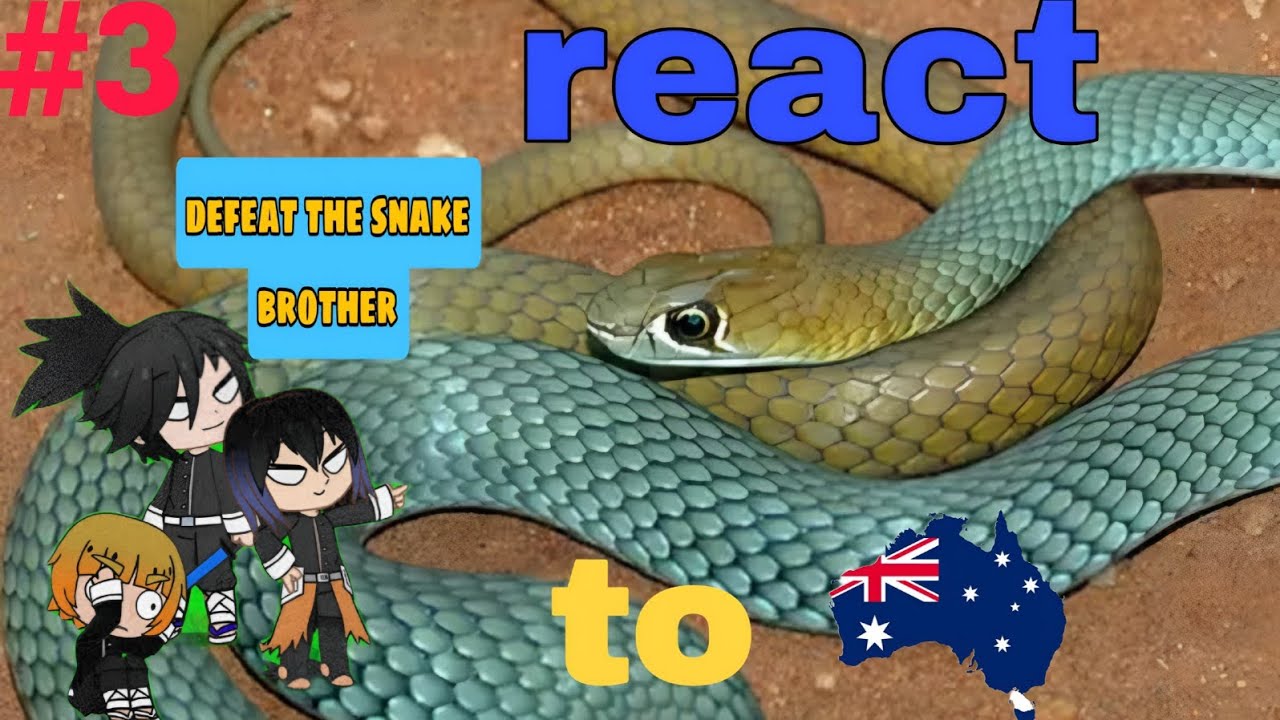 Demon Slayer React  to Australian Wildlife by Moreparz #3