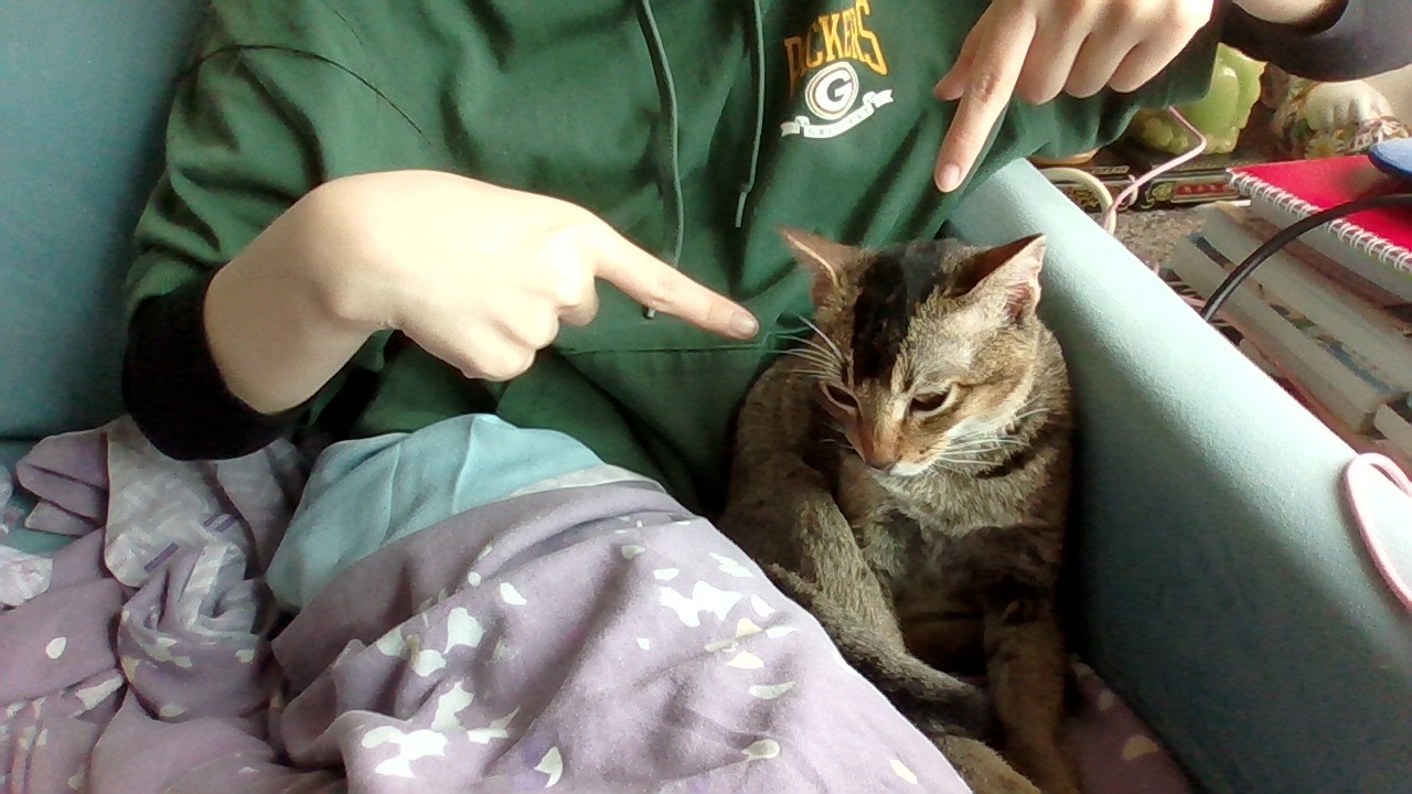 Cute Cuddling Moment with Congee