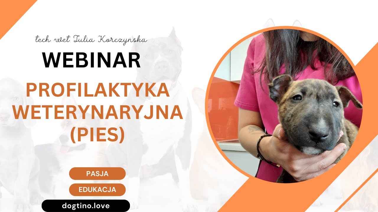 DARMOWY WEBINAR - profilaktyka weterynaryjna (psy)