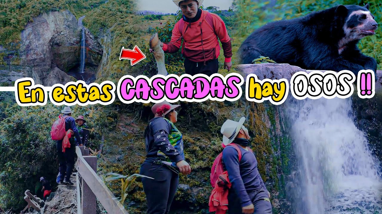En estas CASCADAS hay OSOS 🐻😱 Karito La Tóxica ft. Ni Q' Fuera TV