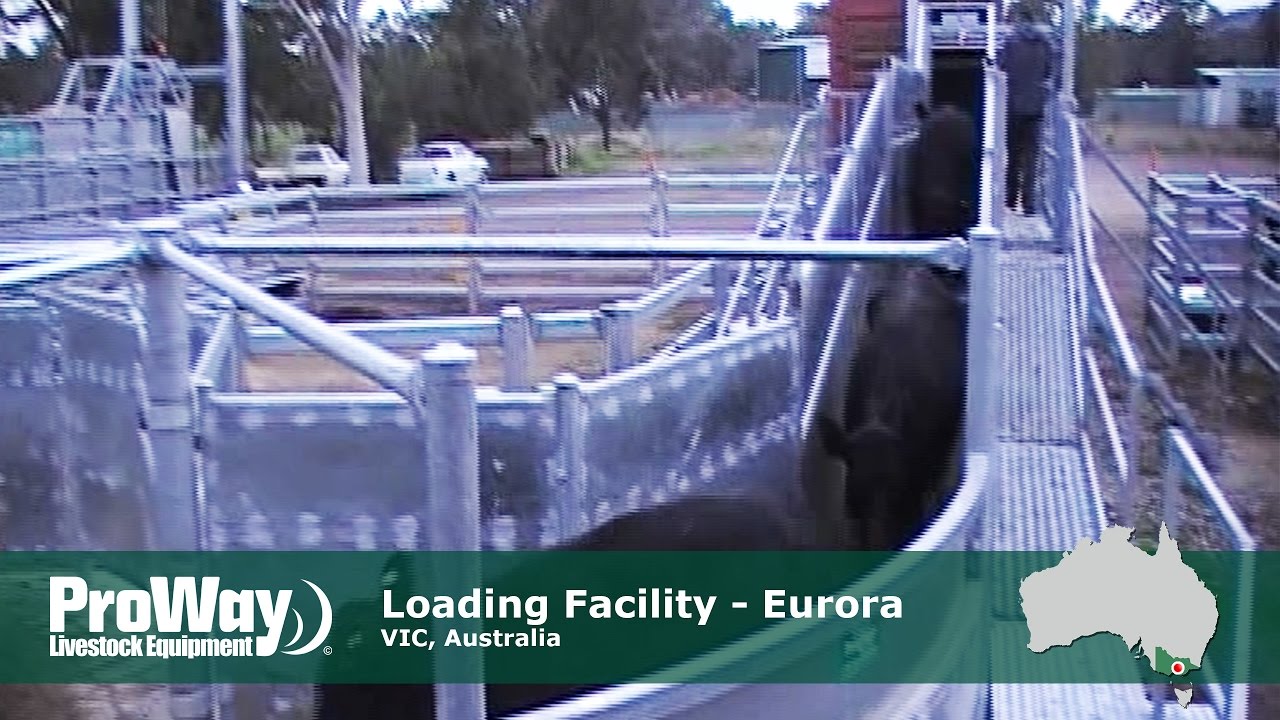 ProWay Loading Facility, Euroa VIC