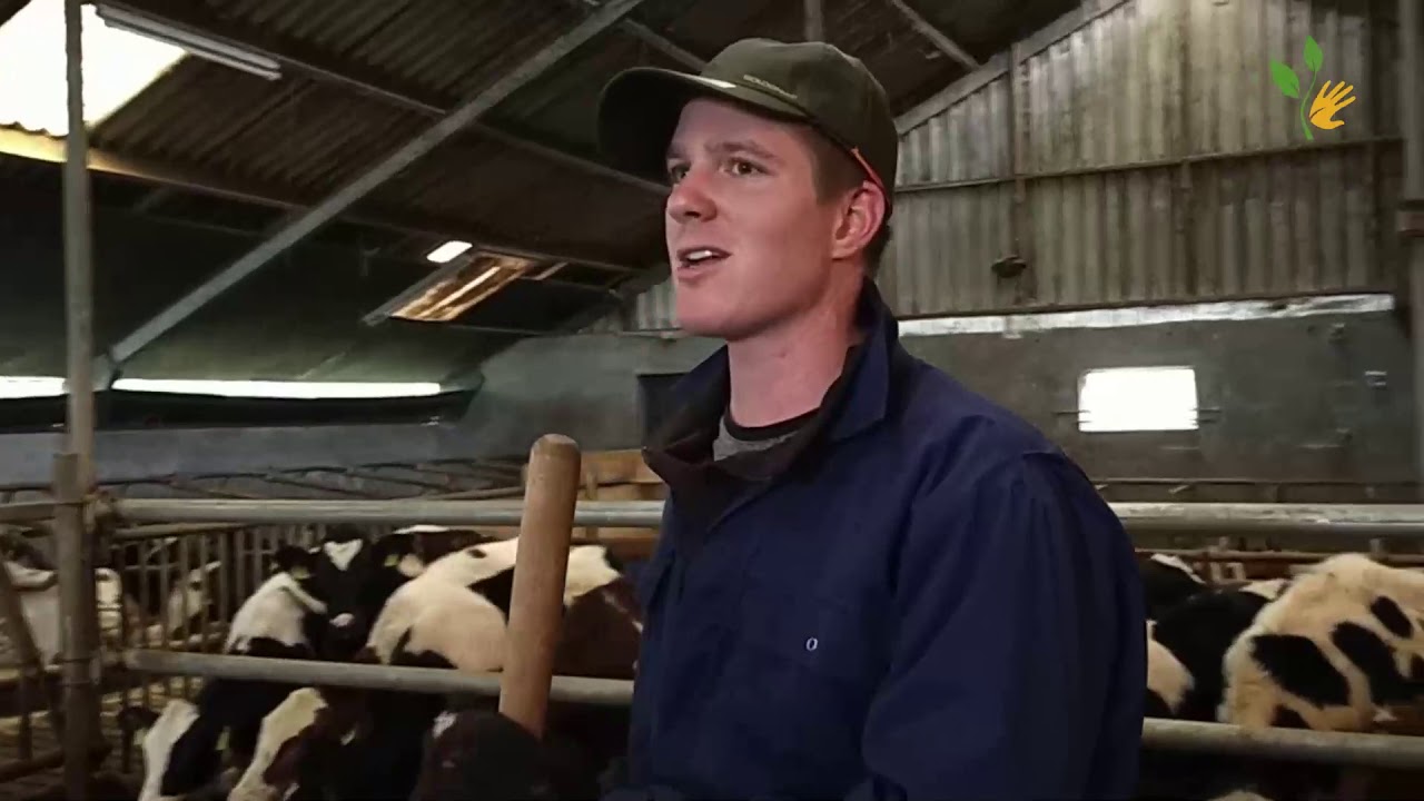 Zorgboerderij Polderzicht Boer Pelleboer