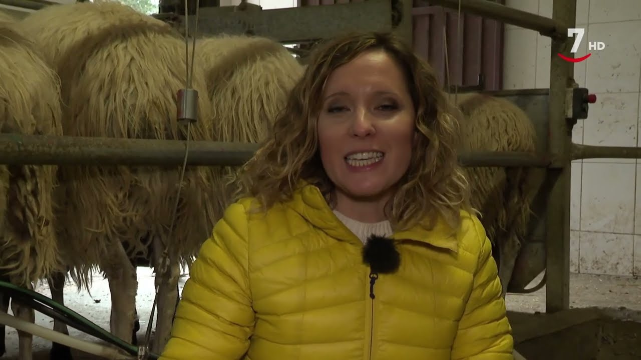 El Correvuela T3/E24: Piscifactoría de truchas, ovejas churras, gallinas ponedoras y abejas