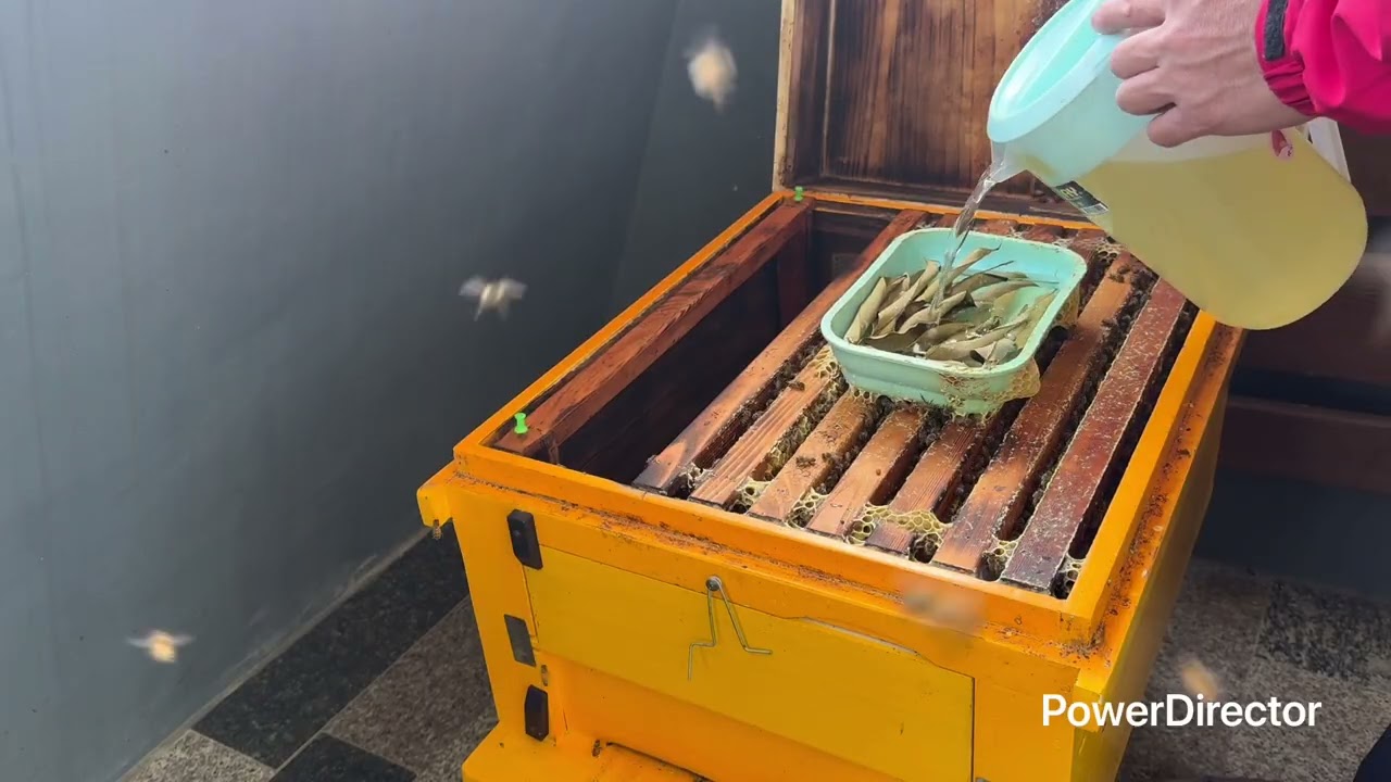 今晚起溫度驟降，給點糖水加維他命
