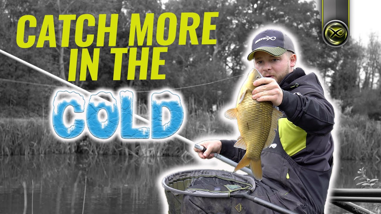 CATCH F1'S IN THE COLD (Aidan Mansfield's Snake Lake F1 Masterclass)