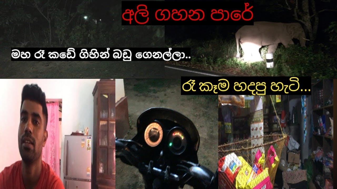 අලි ගහන පාරේ..මහ රෑ කඩේ ගිහින් බඩු ගෙනල්ලා...රෑ කෑම හදපු හැටි...