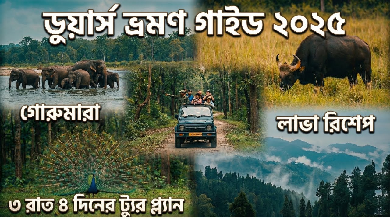 3Nights 4 Days Dooars Tour Plan | |Dooars Tour Guide 2025 || Dooars Tourist Spot | |ডুয়ার্স ভ্রমণ ||