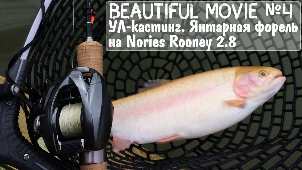 Beautiful Movie №4 УЛ-кастинг. Янтарная форель на Nories Rooney 2.8