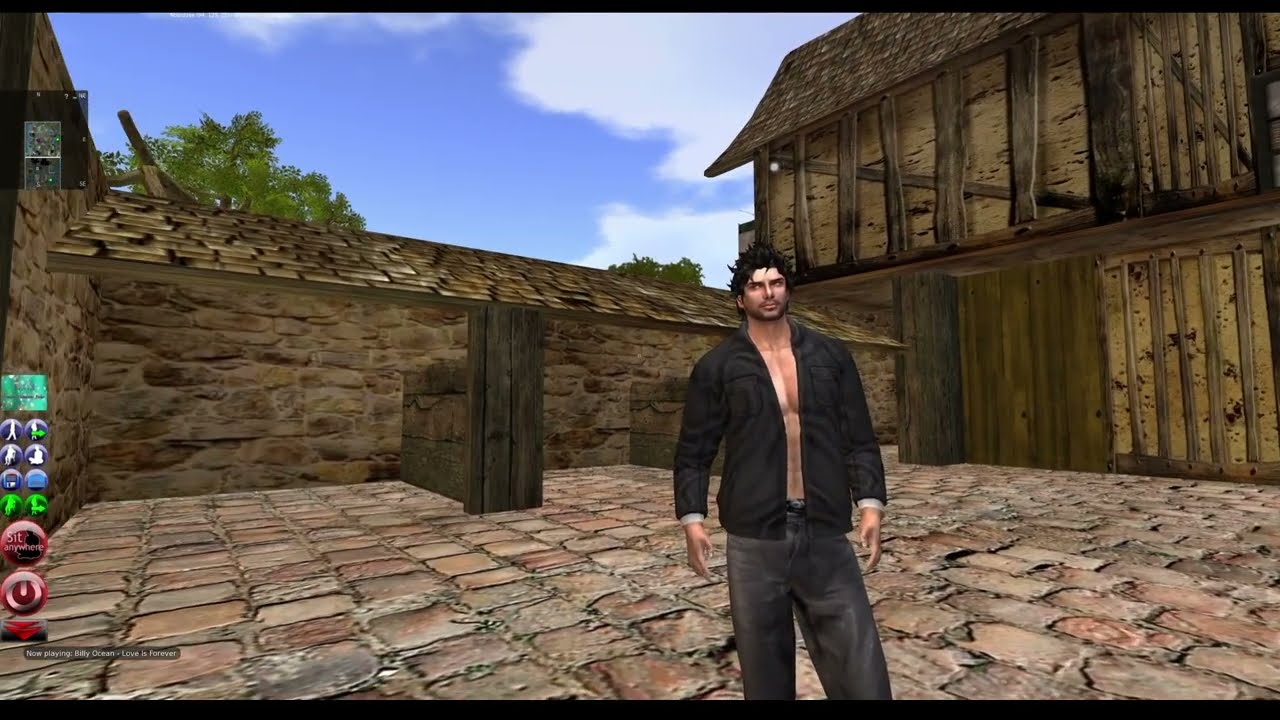 Second Life Trolling: Interrupting A Helper
