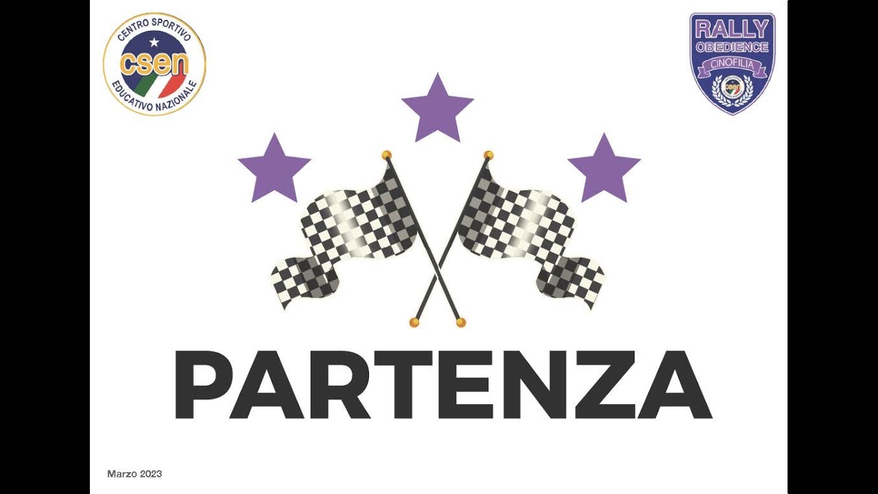 RallyCsen Cartelli Gruppo 1
