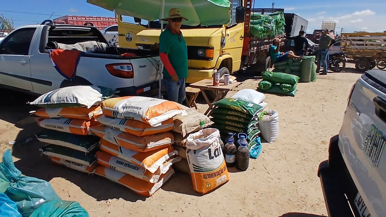 FEIRA DE RACAO SAL SILO E  CAPIM  EM CAPOEIRAS PE. 13 de março de 2026