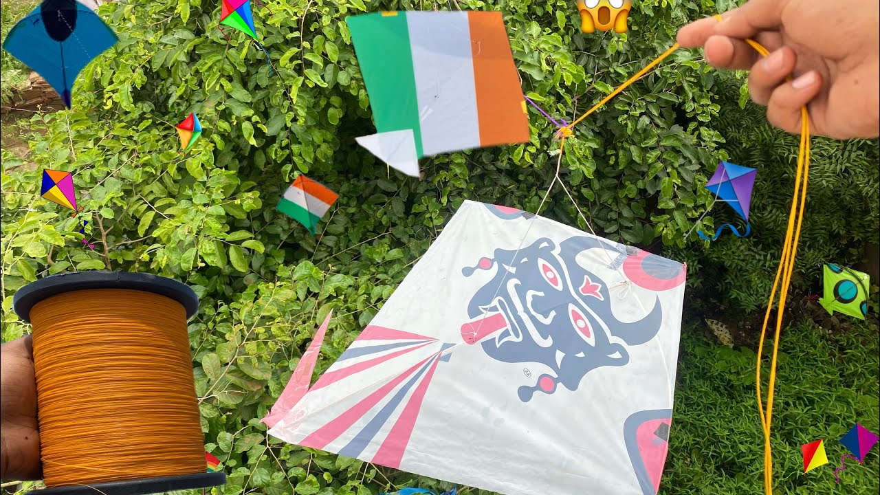 Kite catching trees 🌳 | lots of birds fall on trees 😱| kites | birds