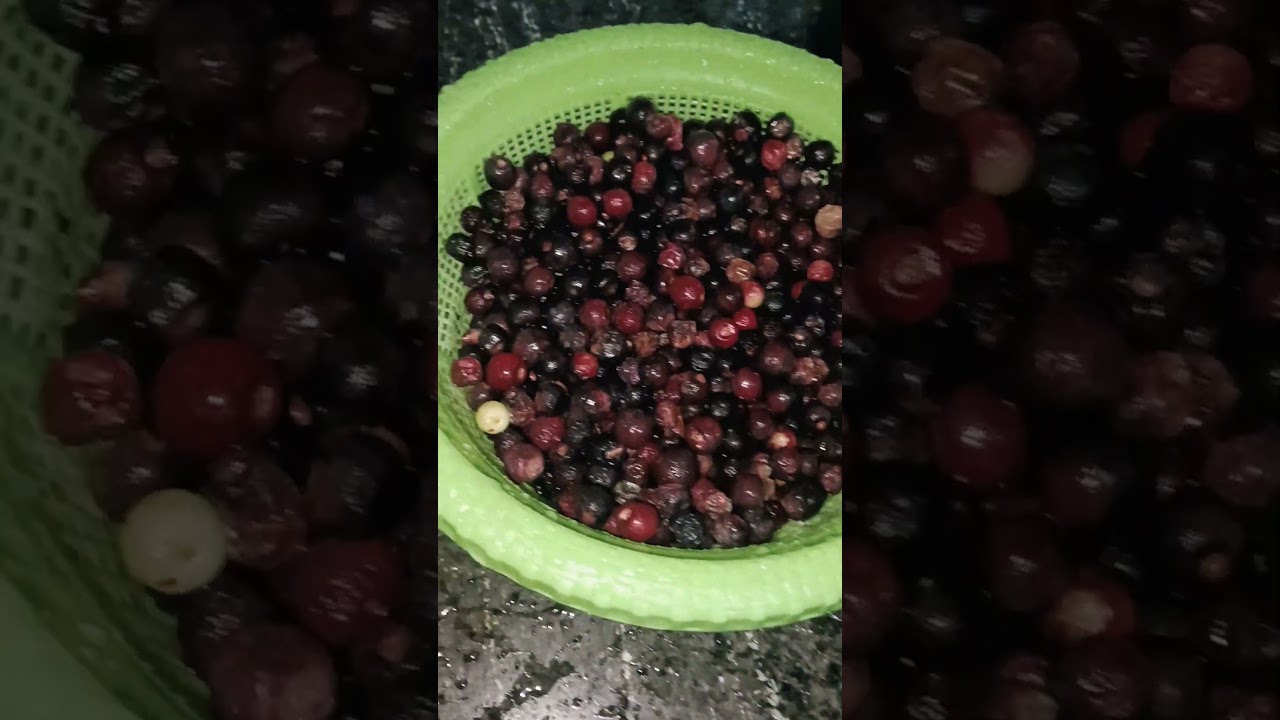 summer special falsa juice make and store full recipe on my channel please visit and subscribe 😊