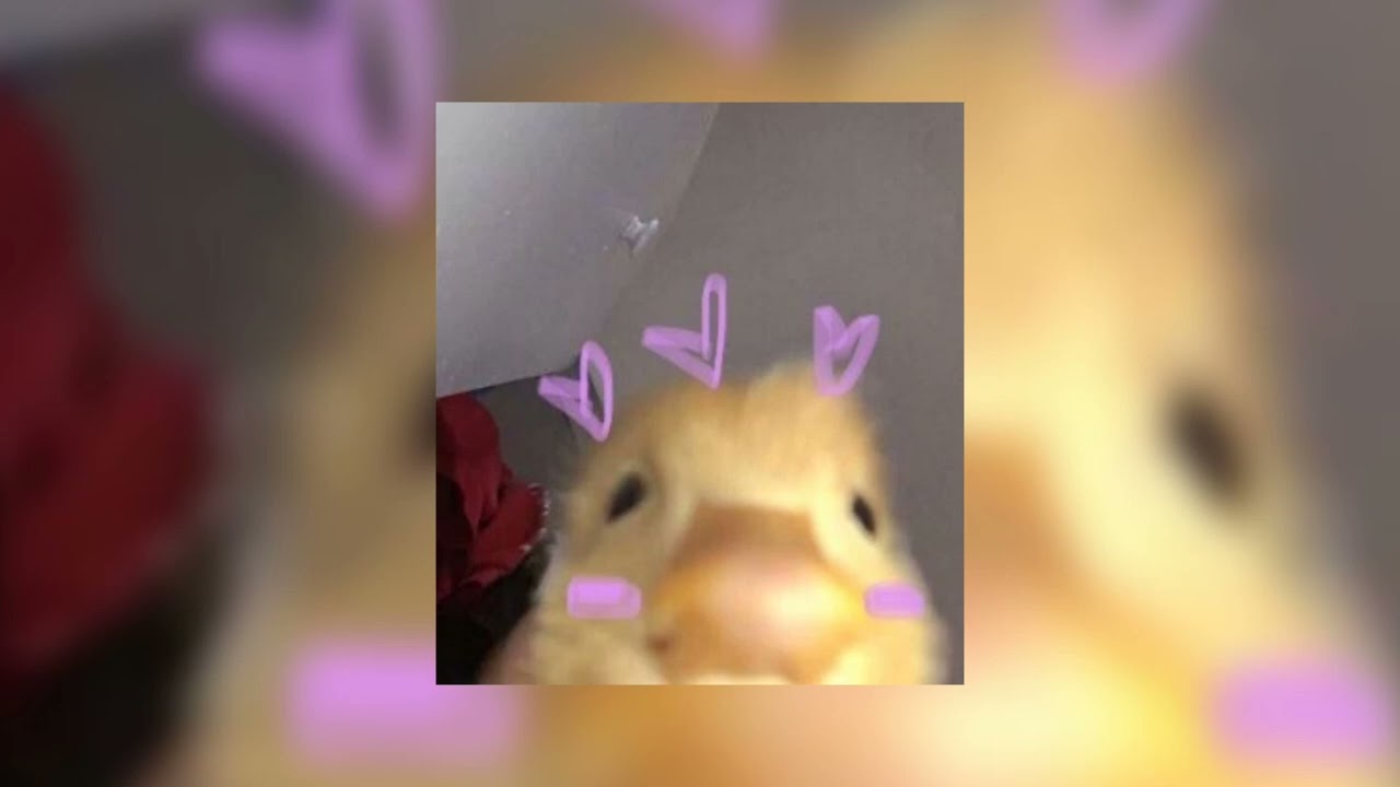 my boo by ghost town dj's (sped up)