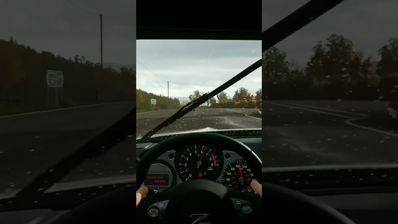Neşe Karaböceği / Nissan Z