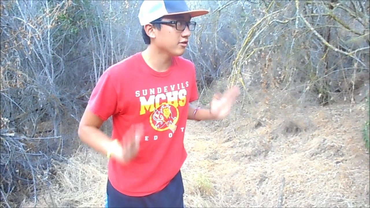 The Illegal Trail