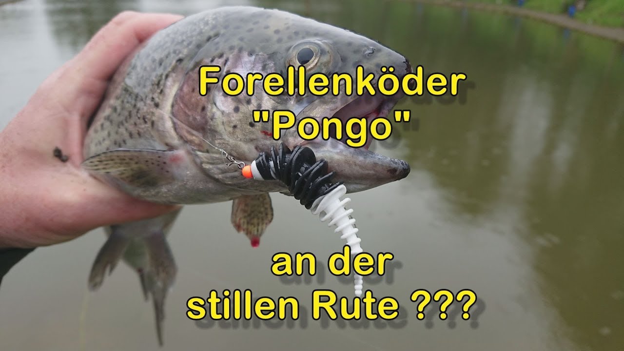 Forellenköder 