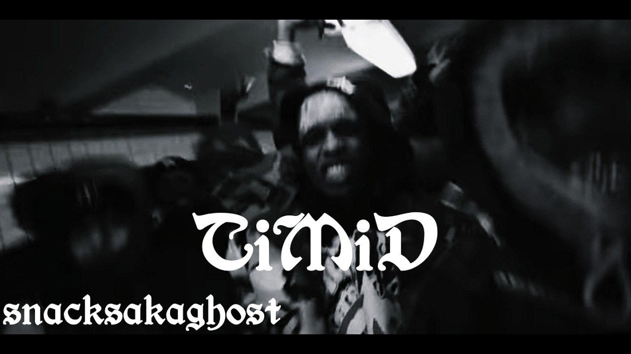 TIMID (prod. @snacksakaghost.)