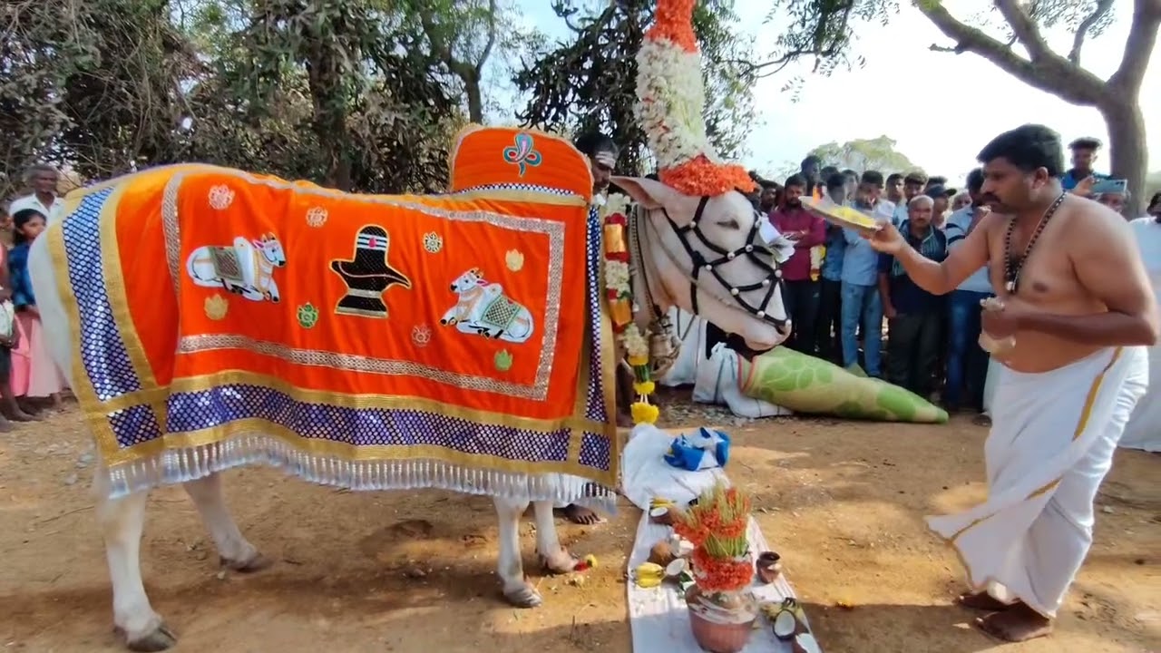 ಶ್ರೀ ಮಂಟೇಸ್ವಾಮಿ ಪುಣ್ಯ ಕ್ಷೇತ್ರ ಮಠದ ಹೊನ್ನಾಯಕನಹಳ್ಳಿ ಮದ್ದೂರ್ ತಾಲೂಕು ಮಂಡ್ಯ ಜಿಲ್ಲೆ ಮಠದ ನಂಬರ್ 9731874460