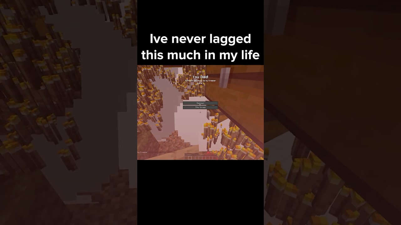 Minecraft Creeper Moment
