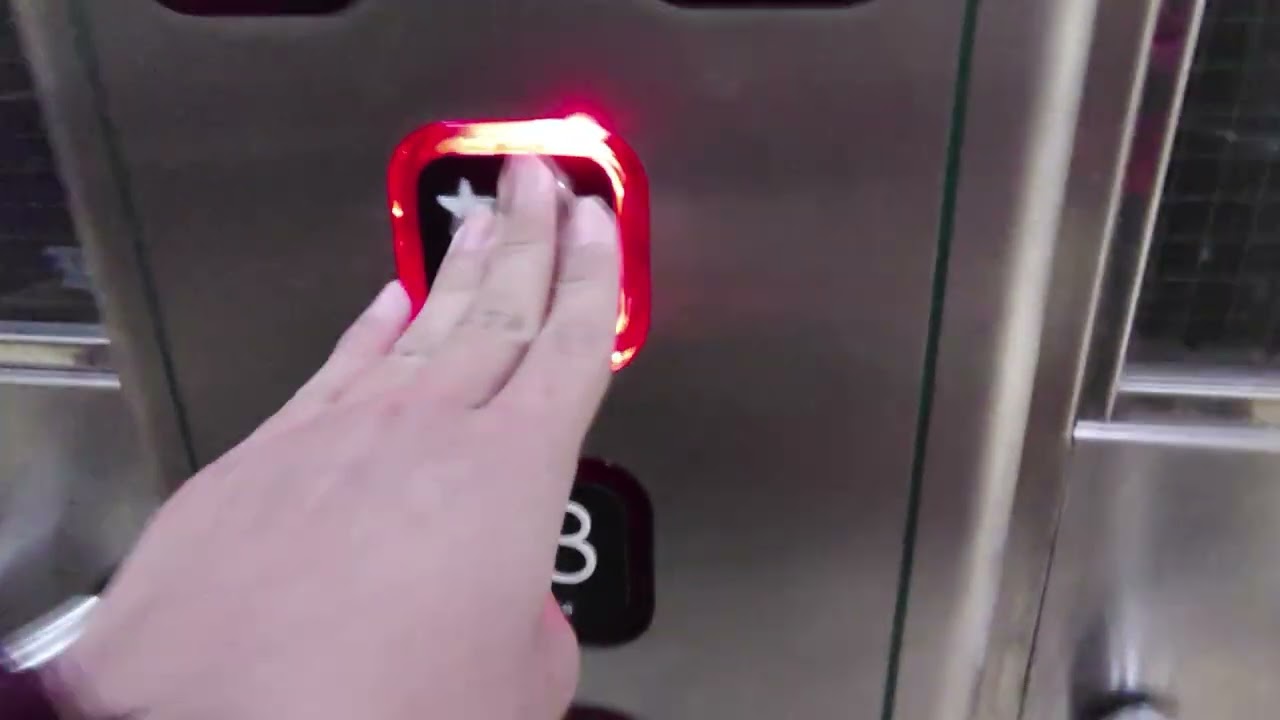 Eglinton line 1 platform 