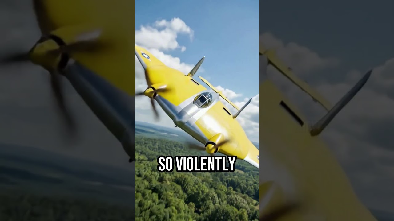 Why did this UNBREAKABLE plane NEVER fly?