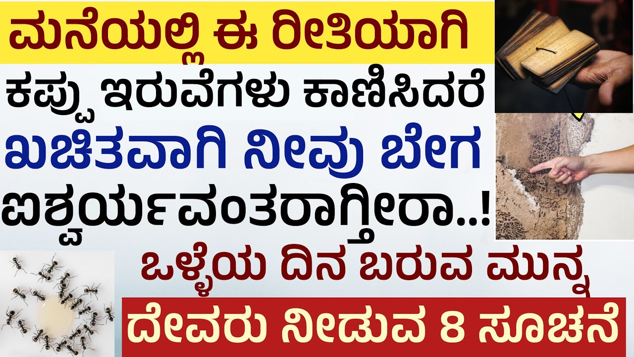 ಒಳ್ಳೆಯ ಸಮಯ ಬರುವ ಮುನ್ನ ದೇವರು ನೀಡುವ 8 ಸೂಚನೆ ಶಕುನ ಶಾಸ್ತ್ರ ರಹಸ್ಯ Shakuna Shastra in Kannada #shakuna