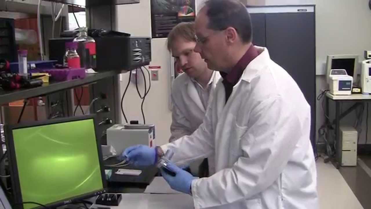 Detecting malaria with a cell phone