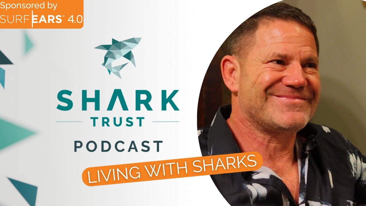 Minisode: Discover Sharks with Steve Backshall