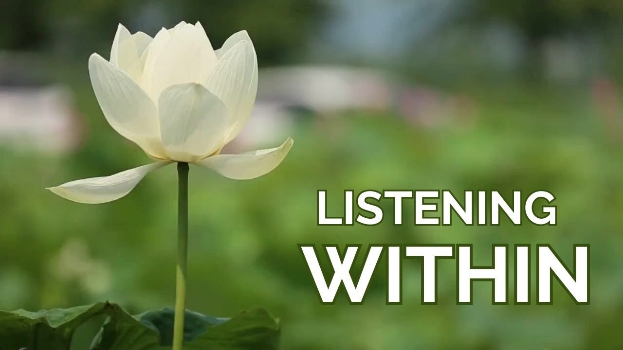 Listen Within | 2 Minute Mindfulness Meditation to Reconnect with Your Inner Wisdom
