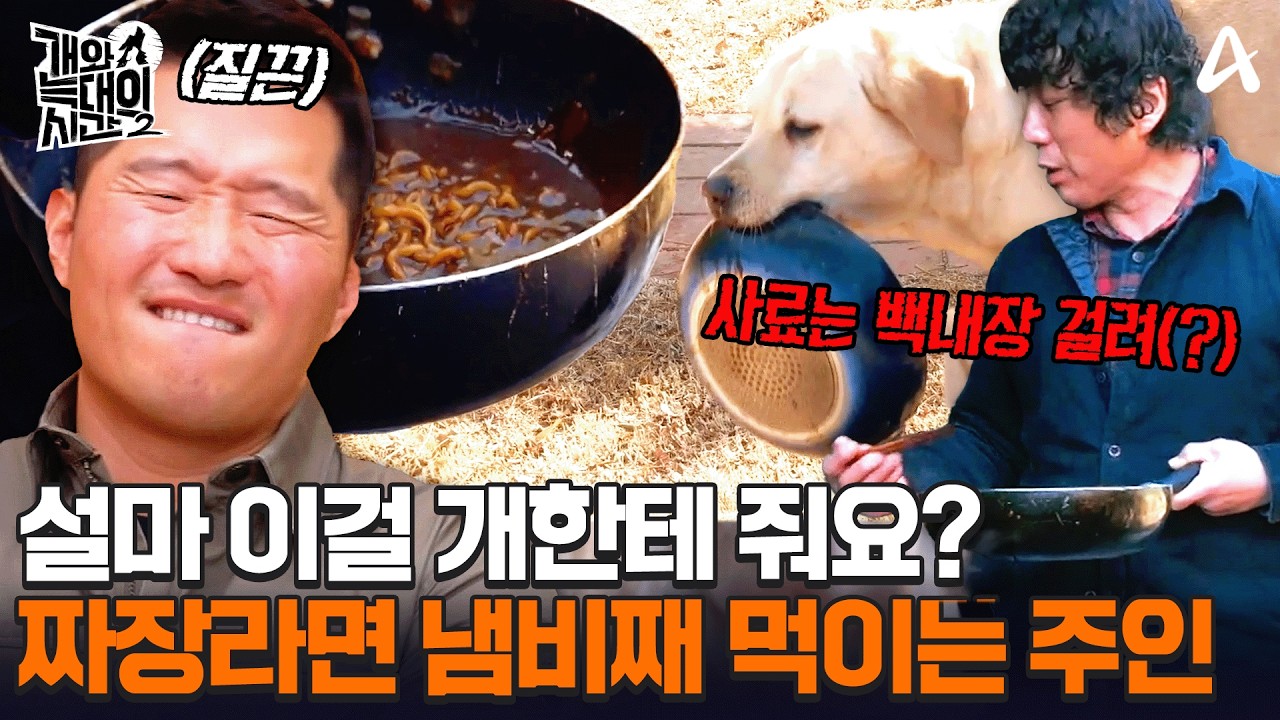 스튜디오 초토화🚨 개들한테 짜장라면에 스크램블까지 먹이는 보호자 실존😨ㅣ개와 늑대의 시간2