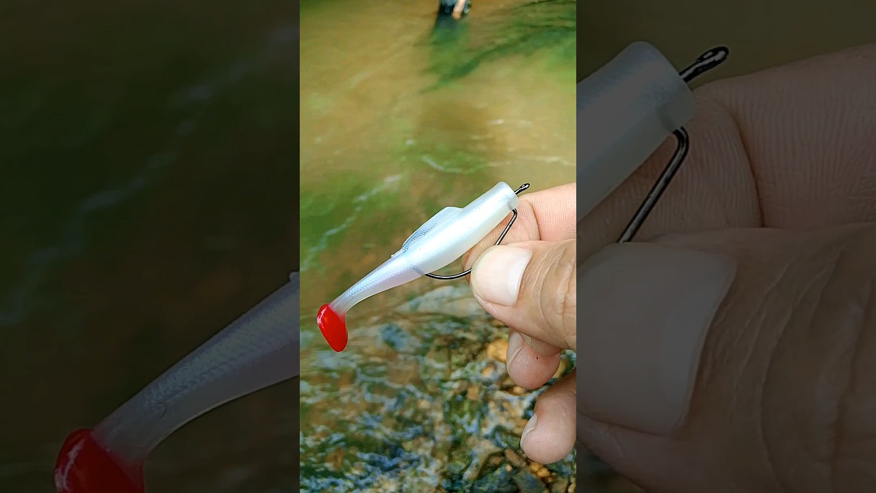 Seperti ini cara mudah pasang umpan softlure #lure #softlure #umpan #umpanjitu #tips #tutorial