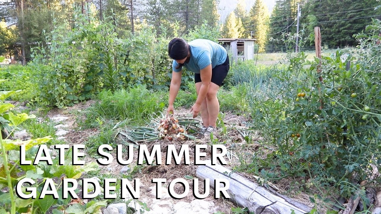 Tour My Summer Vegetable Garden | How to Use Turnips from Garden