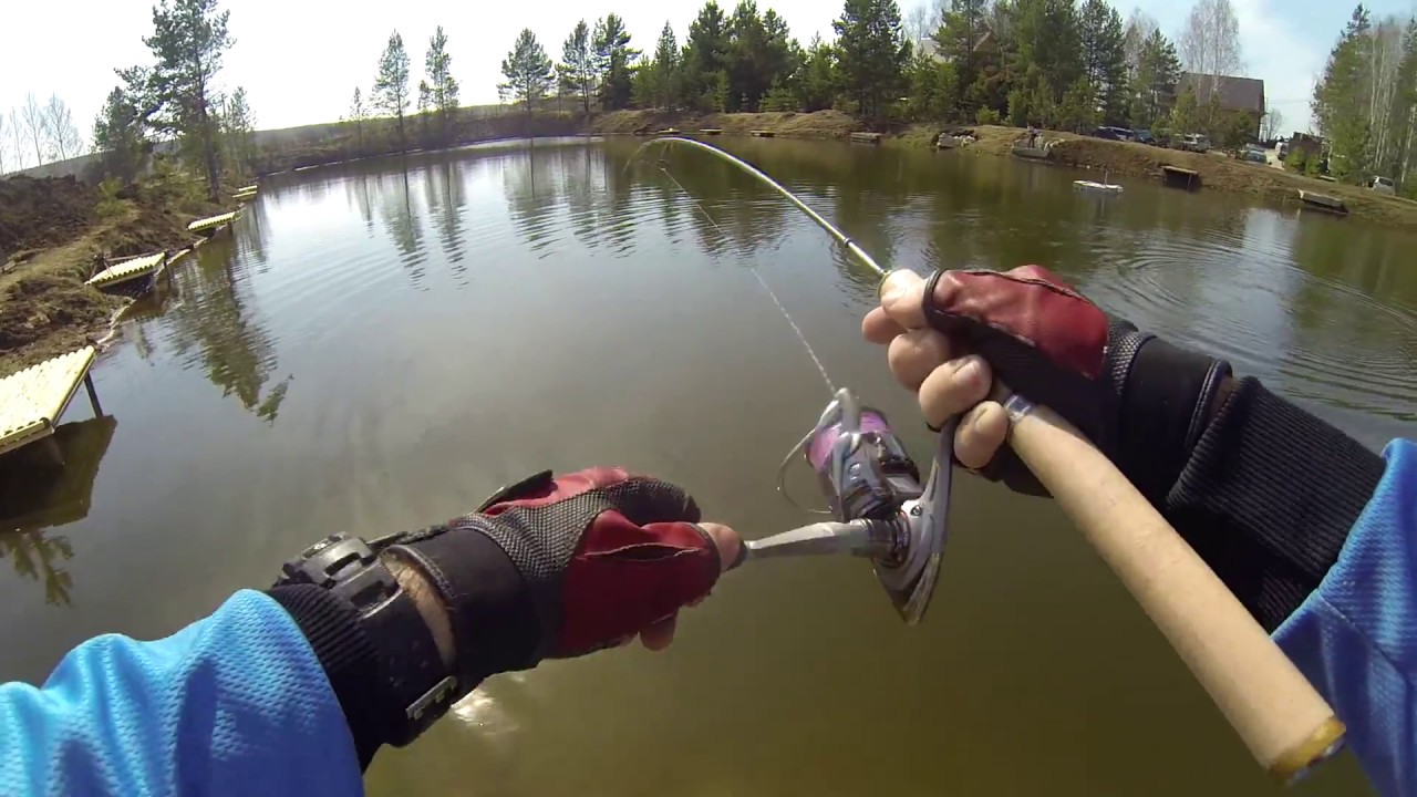 Favorite Arena и SV Fishing