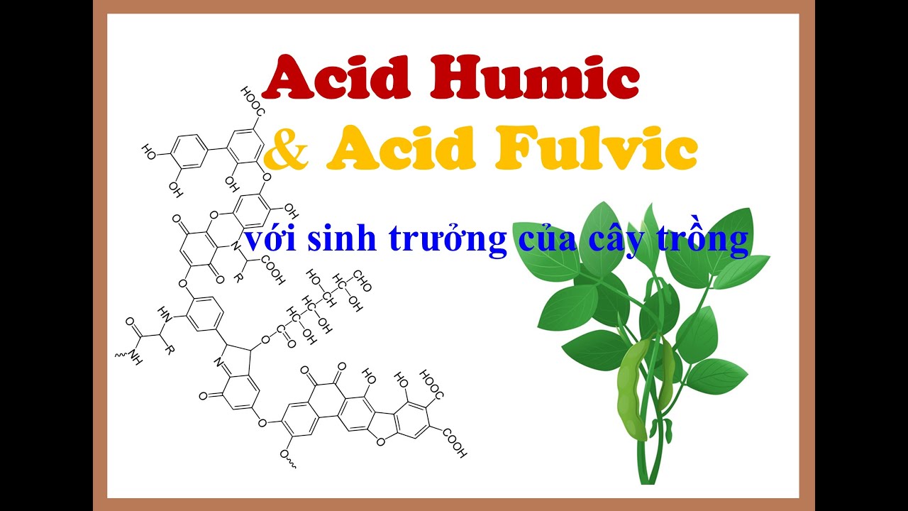 Chuy&ecirc;n đề 22: Đặc điểm v&agrave; vai tr&ograve; của Axit Humic & Axit Fulvic với C&acirc;y trồng N&ocirc;ng nghiệp