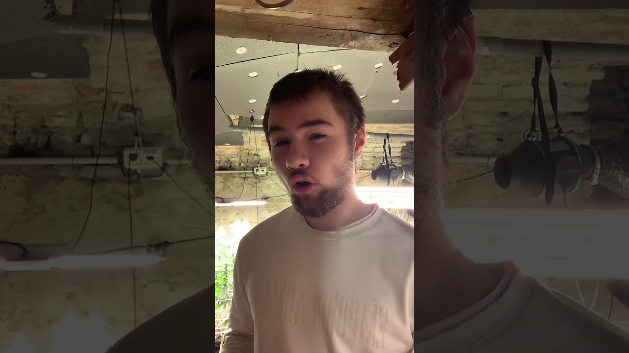 Comment devenir producteur de cbd