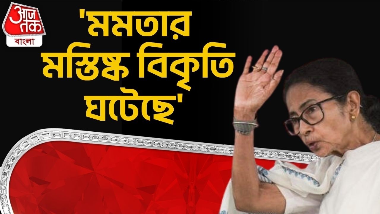 'মমতার মস্তিষ্ক বিকৃতি ঘটেছে' | Dilip Ghosh | Mamata Banerjee | TMC | BJP | West Bengal Politics |PN