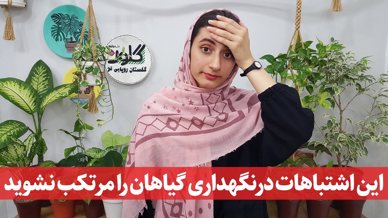 گیاهان آپارتمانی: ۹ اشتباه رایج و پرتکرار در نگهداری گل و گیاه