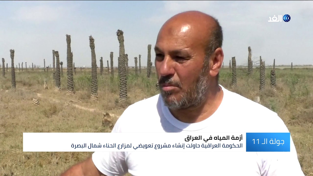 شاهد حجم الضرر الذي ألحقته قلة المياه بمزارع الحناء في الفاو العراقية
